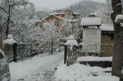 DSC_0042.JPG