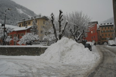 DSC_0039.JPG